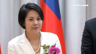 范雲喊話民眾黨：主動撤銷李貞秀的黨籍