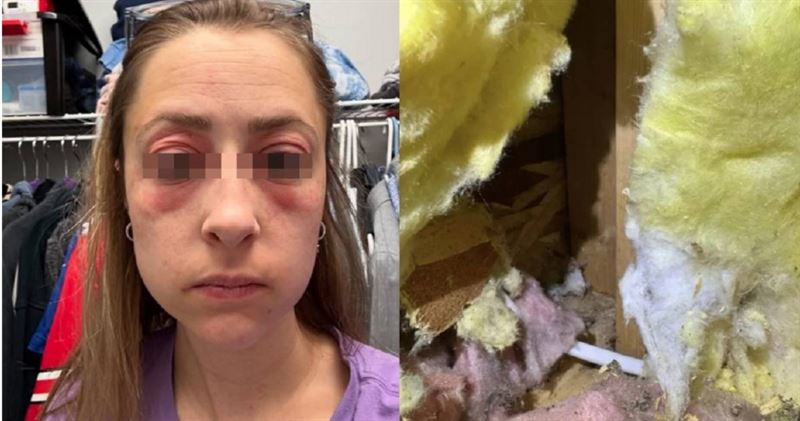 美國一名女子與先生以為買到夢想中的房子，入住後才發現竟是惡夢。（圖／翻攝自Instagram／applfrittr11）