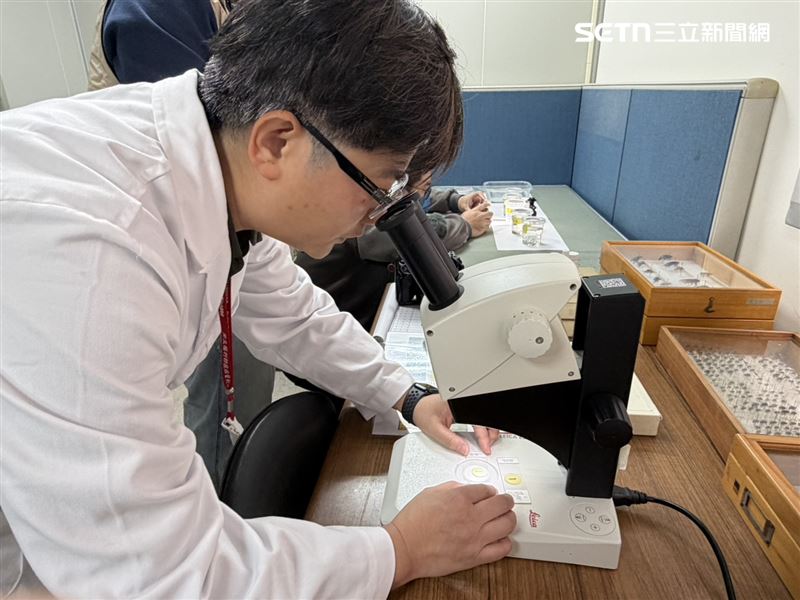 該實驗室核心任務是用來測試不同基因突變品系對化學防治藥劑的有效性。（圖／記者簡浩正攝影）