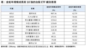 金蛇年規模成長前10強的台股ETF績效表現。（圖／CMoney）