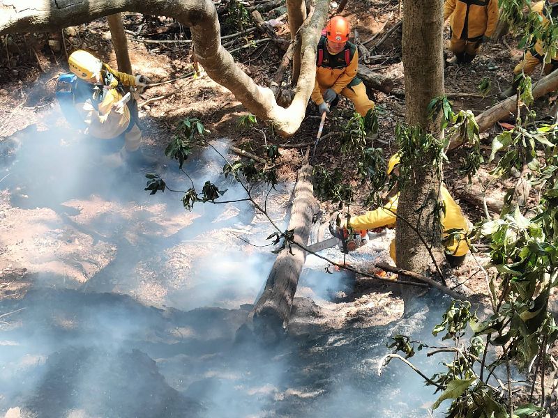 南投縣埔里鎮觀音瀑布對面林保署林地，15日發現森林火災，林保署南投分署立即啟動森林火災搶救機制，陸軍航空特戰指揮部及內政部空中勤務總隊也協助滅火，直至21日下午火勢獲得控制，目前仍進行殘火處理。（林業及自然保育署南投分署提供）