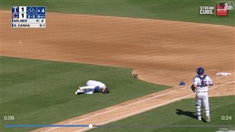 龍仔和跑者擦撞傷退　23日進一步評估傷勢