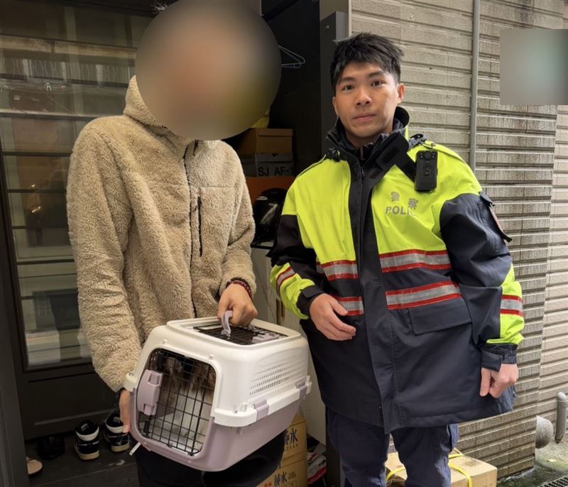 小貓咪在大街上遊蕩、卡在水塔縫隙，最後終於人貓團圓。（圖／翻攝畫面）