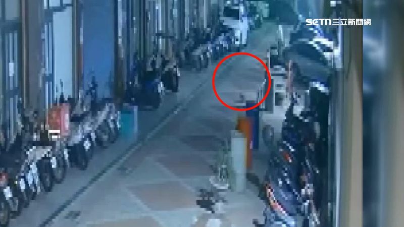 男子將大黃狗從3樓丟下