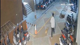 大黃狗遭3樓丟下！肝臟碎裂 民眾救援心疼