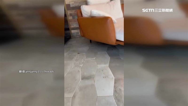 飯店大廳蟑螂過了一天，還是沒人處理