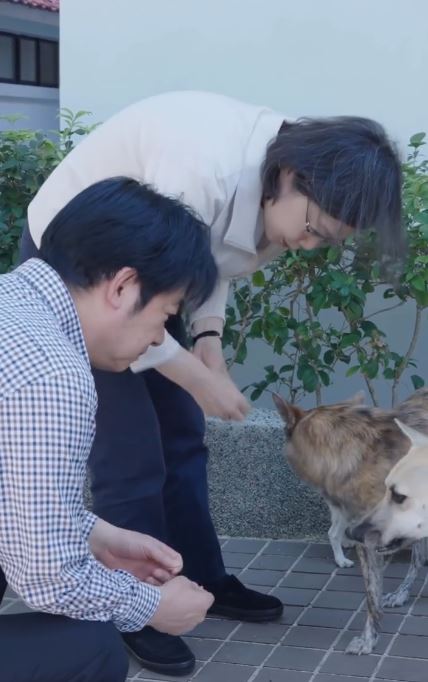 賴清德與蔡英文一起彎腰餵養寵物。（圖／翻攝自Threads @william_chingte）