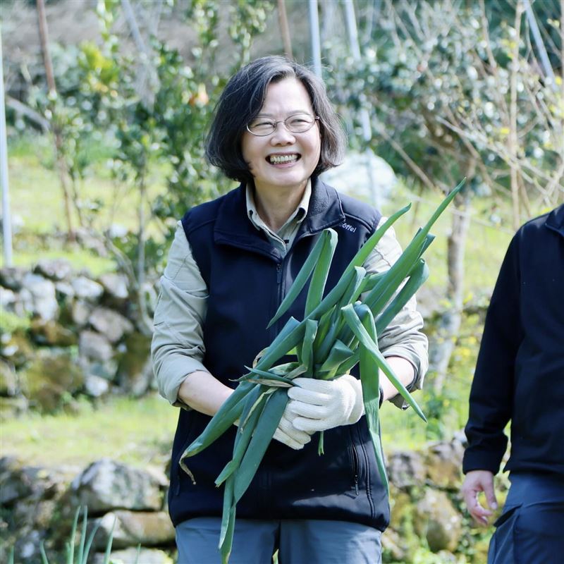 蔡英文很享受退休生活，春節期間除了爬山，還會到鄰居菜園拔菜，為自己加菜。（圖／翻攝自Threads）