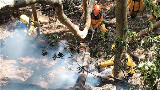 埔里森林7天燒29公頃　起火原因調查中