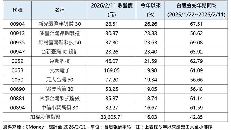 金蛇年期間績效表現前10強的台股原型ETF。（圖／CMoney）
