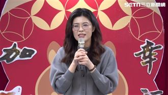 鄭麗文被畫梗圖惡搞！藍粉轟羞辱　網酸爆