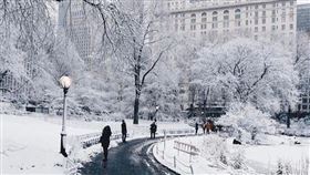 紐約因受強降雪影響，多地交通停擺，整個城市陷入冰凍狀態。（圖／翻攝自X平台 @mfarooqbukhsh）