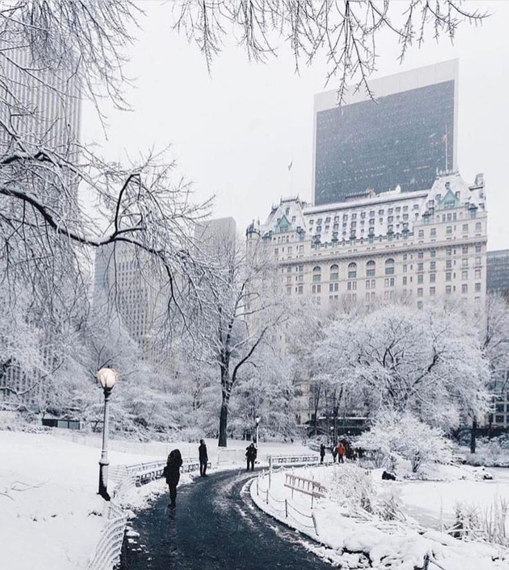紐約因受強降雪影響，多地交通停擺，整個城市陷入冰凍狀態。（圖／翻攝自X平台 @mfarooqbukhsh）