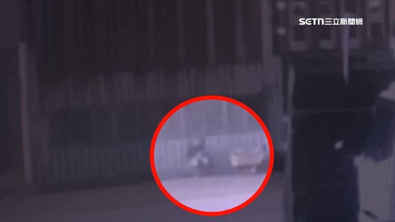 獨/兒病逝不知所措 8旬父推車運屍棄溪