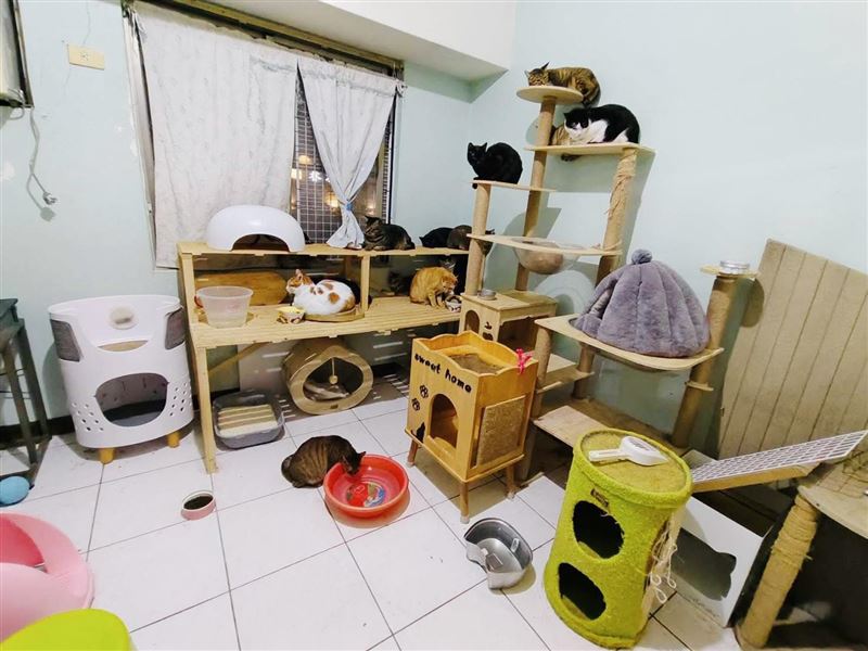 米可白發文請大家一起分享、認養，讓這些毛孩子有一個溫暖的家。（圖／翻攝自米可白FB）