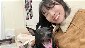 台灣知名藝人米可白身兼歌手、演員與主持人，長期關注流浪動物與公益議題。（圖／翻攝自米可白FB）