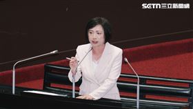 何欣純質詢卓榮泰（圖／記者楊士誼攝影）