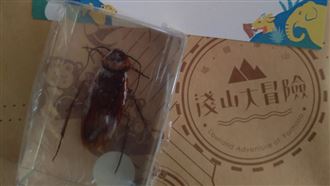 刮刮樂抽中「蟑螂標本」！一查價值驚呆了