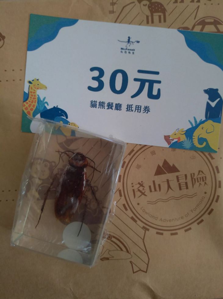 原PO在台北市動物園的刮刮樂活動中拿到蟑螂標本。（圖／網友ginatachang授權提供）