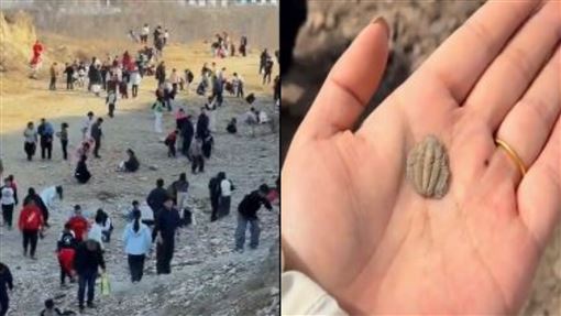 山東現三葉蟲化石！民眾瘋挖：當局急封山