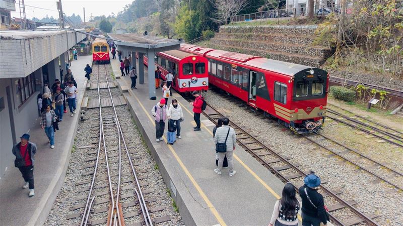 阿里山林鐵訂票「8成沒付錢」政府出手了