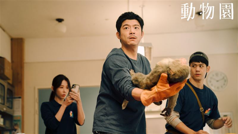 邵雨薇遭獼猴搶食 王柏傑對峙黑熊瞬間曝
