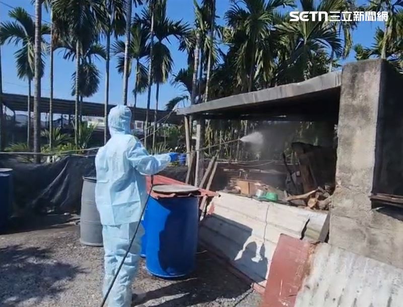 確認無疫病傳播風險，啟動畜牧場與周邊道路清消，降低任何傳播可能風險。（圖／翻攝畫面）