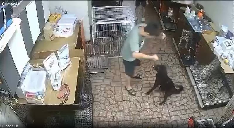 員工暴力將黑犬拖出。（圖／翻攝自Threads）