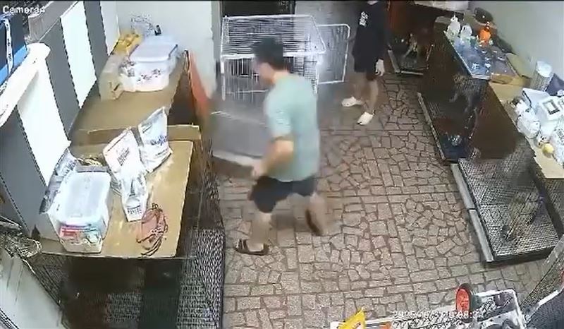 員工舉起一旁的空籠砸向另一隻裝有大型黑犬的籠子。（圖／翻攝自Threads）