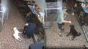 桃園楊梅某知名訓犬機構爆出虐狗爭議。（圖／翻攝自Threads）