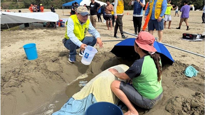 車城海口即刻救援 7擱淺虎鯨全數重返大海