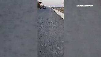 獨／風力發電機漏油如雨下　魚塭慘遭殃