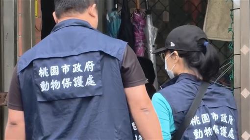 桃園訓犬中心遭爆虐狗害失禁　動保處出手