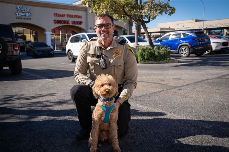 這隻可愛的貴賓犬遭前飼主狠心棄養，救命警官決定出手，把牠接回家疼愛。（翻攝自臉書LVMPD）