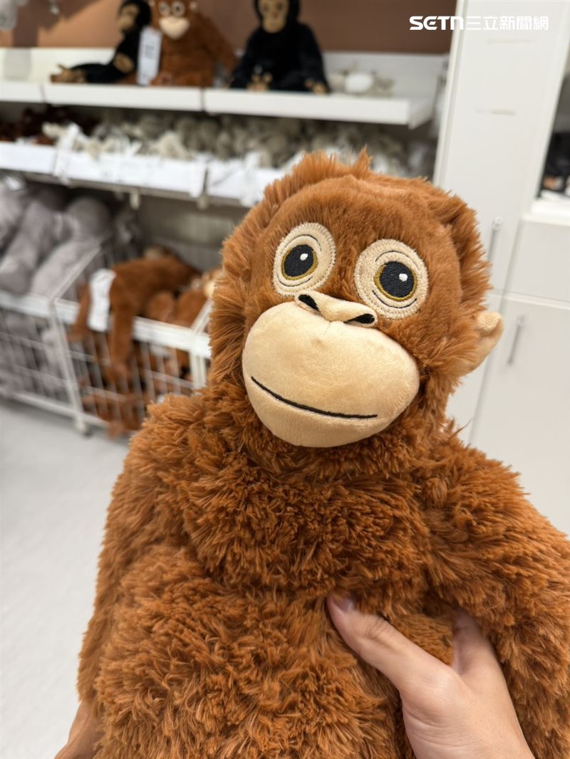IKEA 表示，猩猩玩偶DJUNGELSKOG不論詢問度還是銷售量都倍數成長。(圖／記者賴俊佑攝影）