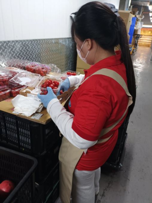 員工將發霉的小番茄挑出來擦拭過後，重新裝盒上架販售。(圖／翻攝自Threads)