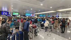 桃機 排隊check in 登機櫃台 人超多（圖／記者許雅惠攝影）