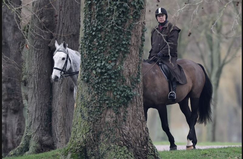 英國前王子安德魯本月被拍到在溫莎莊園騎馬。據英媒獨家報導，因為擔心有損王室形象，安德魯遭禁止騎馬。（圖／翻攝自X平台 @glennbuss）