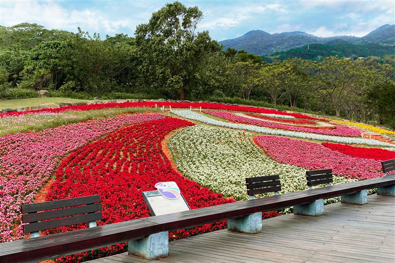 北投三層崎公園擁有獨特的斜坡地形，鋪展出宛如彩色浪濤般層層起伏的壯麗花海景致，有「台版富良野」美譽。（圖／飯店旅宿業者提供）