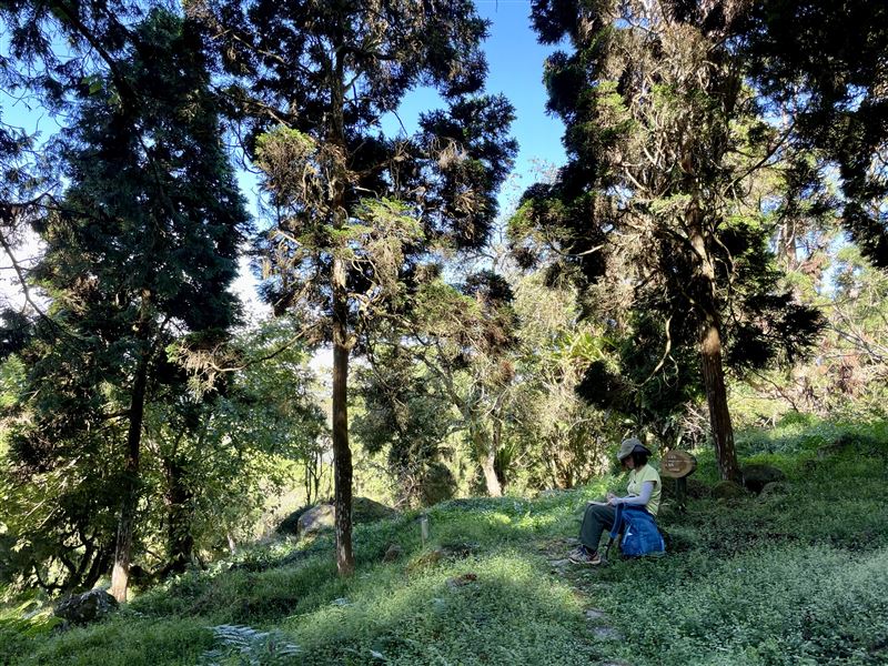 溪頭福華推出一站式五感體驗森林療癒遊程。（圖／飯店旅宿業者提供）