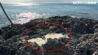 墾丁礁岩「像補蛀牙」變水泥！兇手身份曝