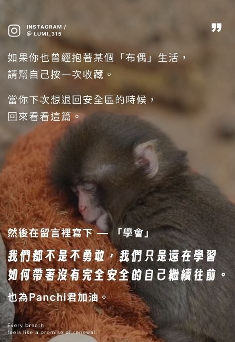 看到牠緊抱布偶全球心疼，日本勇敢年幼彌猴Pnchi君教我們這10堂課，令人省思。（圖／翻攝自IG @lumi_315）