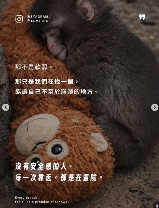 看到牠緊抱布偶全球心疼，日本勇敢年幼彌猴Pnchi君教我們這10堂課，令人省思。（圖／翻攝自IG @lumi_315）
