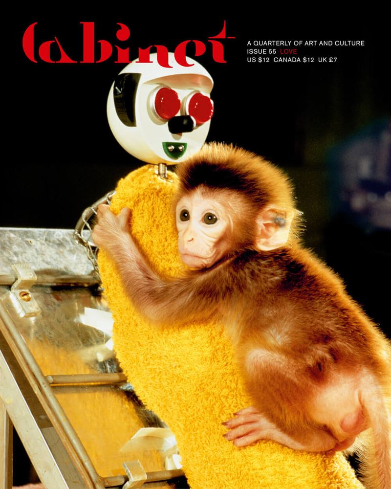 看到牠緊抱布偶全球心疼，日本勇敢年幼彌猴Pnchi君教我們這10堂課，令人省思。（圖／翻攝自cabinet-magazine）