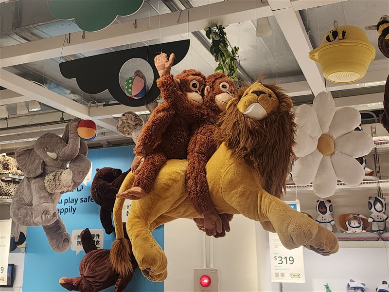 IKEA紅毛猩猩玩偶DJUNGELSKOG賣到缺貨，只剩展示用。攝影地點台北內湖IKEA。（圖／記者鍾志鵬攝影）