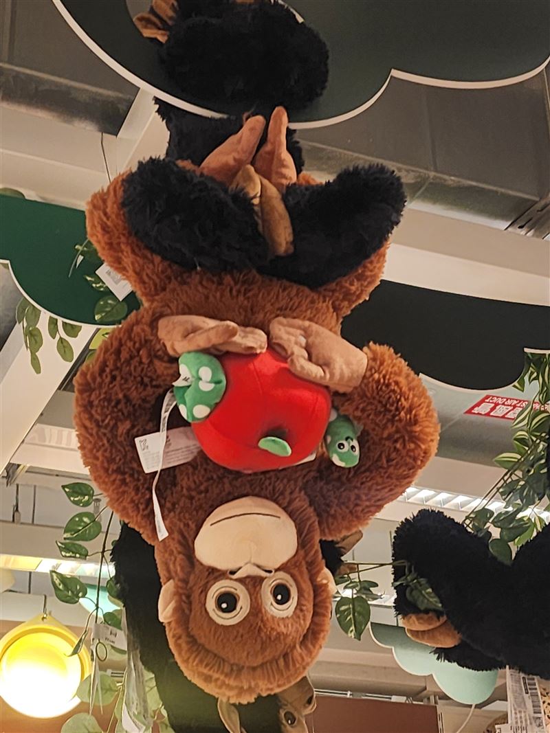 IKEA紅毛猩猩玩偶DJUNGELSKOG賣到缺貨，只剩展示用。攝影地點台北內湖IKEA。（圖／記者鍾志鵬攝影）
