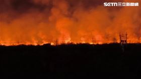 知本溼地大火狂燒5公頃！火光染紅夜空　民眾憂生態浩劫