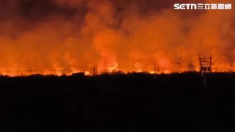 知本溼地大火狂燒5公頃！火光染紅夜空