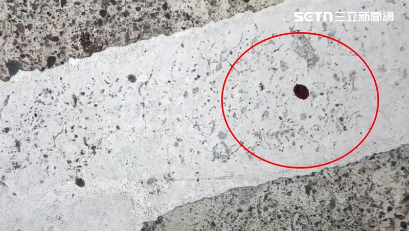 在鋒利的刀刃面前，非死即傷，地板噴濺血液。（圖／翻攝畫面）