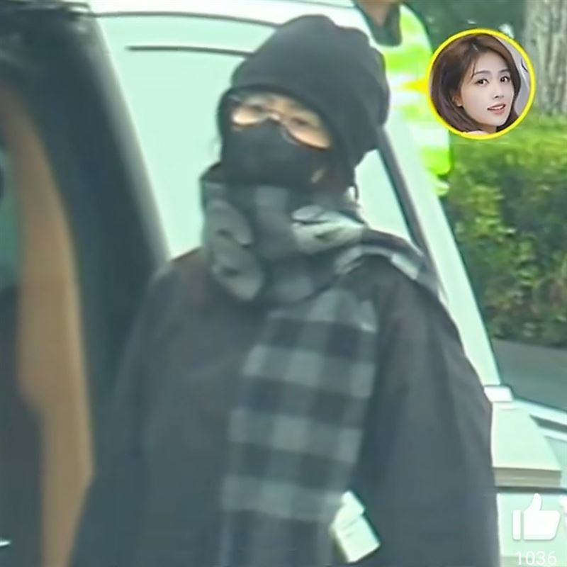 白鹿從機場離開後便遭車輛一路尾隨，她突然在路邊下車試圖「抓人」。（圖／翻攝自微博）